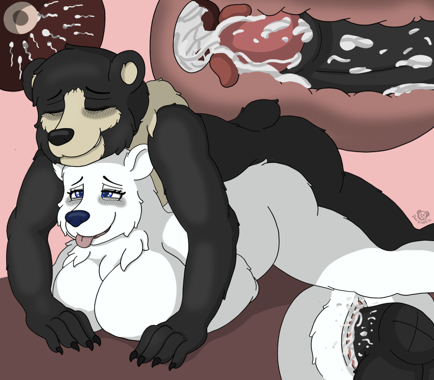 absurd_res anthro anthro_on_anthro anthro_penetrated anthro_penetrating anthro_penetrating_anthro big_breasts black_bear black_body black_fur blue_eyes blush bodily_fluids breasts cum cum_in_pussy cum_inside darknetic digital_media_(artwork) duo eyes_closed female fluffy fur genital_fluids genitals happy happy_sex hi_res huge_breasts impregnation kuma_(darknetic) lying male mammal neck_tuft on_front penetration penile penile_penetration penis_in_pussy polar_bear polly_the_polar_bear_(koncon) pussy sex simple_background slightly_chubby tuft ursid ursine uterus vaginal vaginal_penetration white_body white_fur x-ray yellow_body yellow_fur