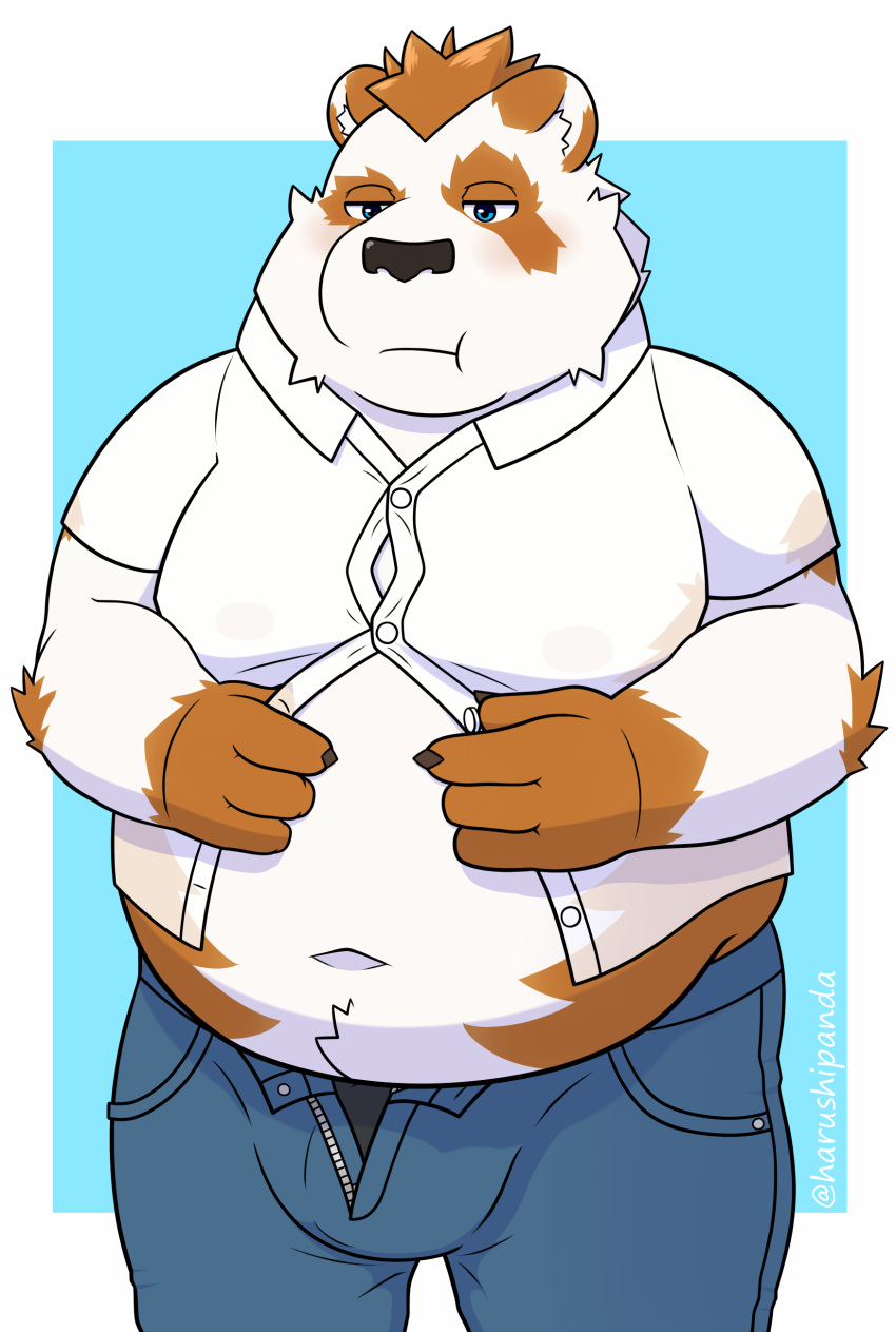 2021 absurd_res anthro belly bottomwear bulge clothing fur giant_panda harushipanda hi_res humanoid_hands male mammal navel orange_body orange_fur overweight overweight_male pants shirt solo tight_clothing topwear ursid weight_gain white_body white_fur