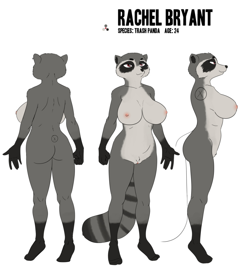 2021 akiric anthro areola big_breasts biped black_body black_fur breasts brown_eyes cheek_tuft countershade_fur countershade_torso countershading crotch_tuft ear_piercing ear_ring english_text facial_markings facial_tuft female front_view fur genitals gloves_(marking) grey_body grey_fur head_markings head_tuft hi_res huge_breasts leg_markings mammal markings mask_(marking) model_sheet multicolored_body multicolored_fur nipples nude piercing procyonid pussy raccoon rachel_bryant_(akiric) rear_view ringtail side_view simple_background socks_(marking) solo standing text tuft white_background white_body white_countershading white_fur