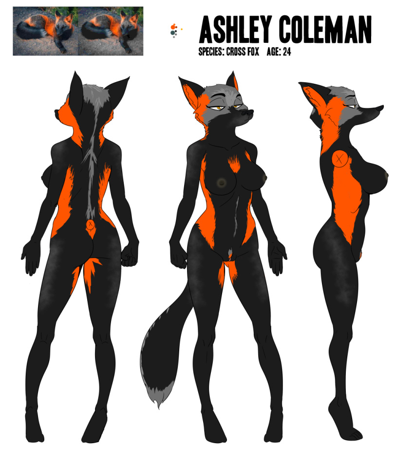2021 akiric anthro areola ashley_coleman_(akiric) biped black_body black_fur breasts canid canine cheek_tuft cross_fox english_text facial_tuft female fox front_view fur genitals grey_body grey_fur half-closed_eyes head_tuft hi_res mammal model_sheet multicolored_body multicolored_fur narrowed_eyes nipples nude orange_body orange_fur pubes pussy rear_view red_fox side_view simple_background solo standing text tuft white_background yellow_eyes