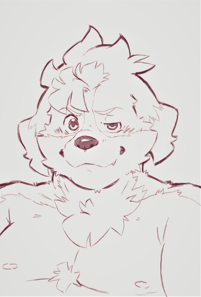 absurd_res anthro bust_portrait canid canine canis chest_tuft domestic_dog floppy_ears heylaw21 hi_res hisaki_(live-a-hero) live-a-hero male mammal nipples pecs portrait sketch smile smirk smug solo tuft