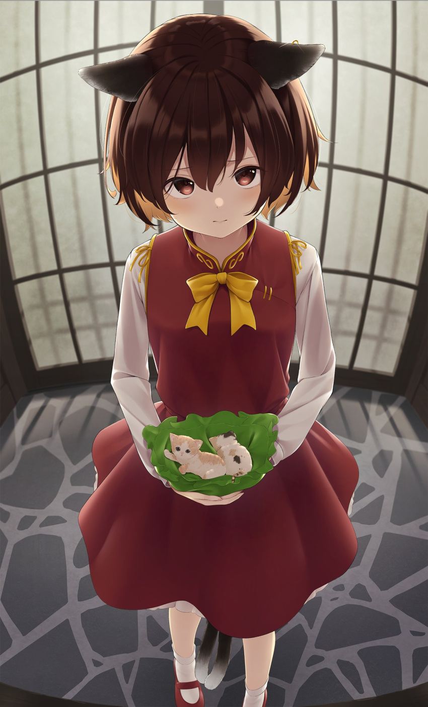 1girl animal animal_ears bangs blush bob_cut bobby_socks bow bowtie breasts brown_eyes brown_hair cat cat_ears cat_tail chen chinese_clothes closed_mouth commentary_request dress ears_down fisheye frilled_dress frills furrowed_eyebrows green_headwear hat hat_basket hat_removed headwear_removed highres holding holding_animal holding_cat holding_clothes holding_hat jewelry kanpa_(campagne_9) kitten long_sleeves looking_at_viewer mary_janes multiple_tails red_dress red_footwear ribbon shadow shiny shiny_hair shirt shoes short_hair shouji sidelocks single_earring sliding_doors small_breasts socks solo standing stone_floor tail touhou two_tails white_legwear white_shirt yellow_bow yellow_neckwear yellow_ribbon