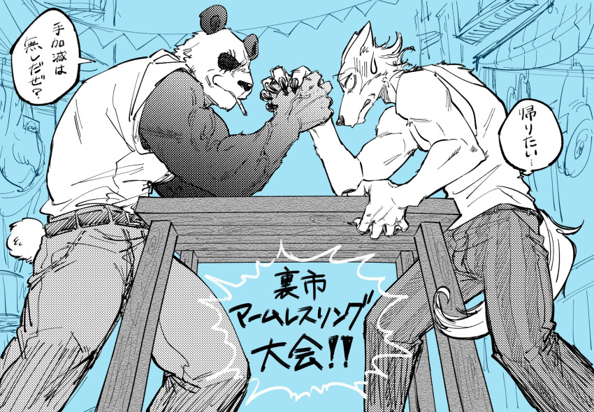 2021 anthro arm_wrestling beastars belt biceps black_sclera bodily_fluids bottomwear canid canine canis cigarette clothed clothing dialogue duo furniture giant_panda gouhin hi_res japanese_text legoshi_(beastars) low-angle_view male mammal muscular muscular_anthro muscular_male pants scar shirt standing sweat table tank_top text topwear translation_request ursid vein wolf yuzuki_fang111