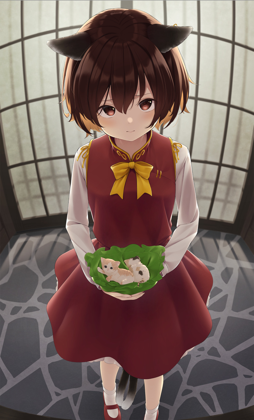 1girl animal animal_ears bangs between_legs blush bob_cut bobby_socks bow bowtie breasts brown_eyes brown_hair cat cat_ears cat_tail chen chinese_clothes closed_mouth commentary_request dress ears_down fisheye frilled_dress frills furrowed_eyebrows green_headwear hat hat_basket hat_removed headwear_removed highres holding holding_animal holding_cat holding_clothes holding_hat jewelry kanpa_(campagne_9) kitten long_sleeves looking_at_viewer mary_janes multiple_tails red_dress red_footwear ribbon shadow shiny shiny_hair shirt shoes short_hair shouji sidelocks single_earring sliding_doors small_breasts socks solo standing stone_floor tail tail_between_legs touhou two_tails white_legwear white_shirt yellow_bow yellow_neckwear yellow_ribbon
