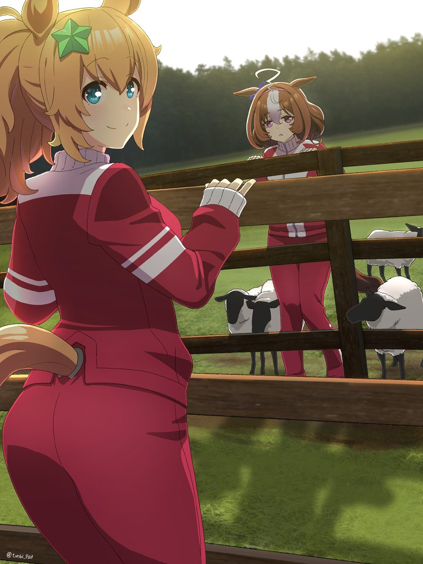 2girls ahoge animal animal_ears ass bangs blue_eyes brown_hair commentary_request day eyebrows_visible_through_hair fence hair_between_eyes hair_ornament highres horse_ears horse_girl horse_tail jacket long_sleeves meisho_doto multicolored_hair multiple_girls outdoors pants ponytail purple_eyes red_jacket red_pants sheep sleeves_past_wrists star_(symbol) star_hair_ornament taiki_shuttle tail tonbi track_jacket track_pants track_suit two-tone_hair umamusume white_hair