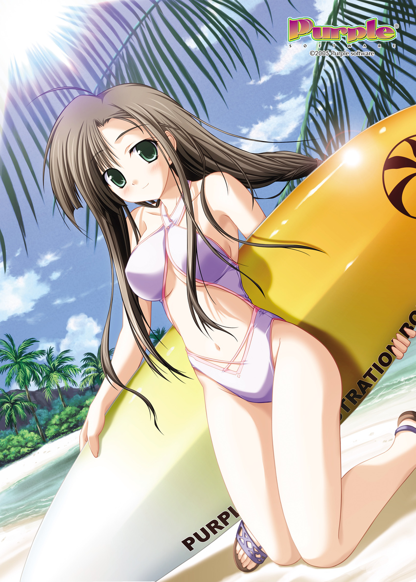 2005 absurdres ahoge akiiro_renka artist_request beach black_hair blush breasts brown_hair casual_one-piece_swimsuit day dutch_angle english forest green_eyes halterneck highres kneeling large_breasts lens_flare long_hair mountain nature navel official_art one-piece_swimsuit outdoors palm_tree sagawa_eriko sandals smile solo sun surfboard swimsuit tree water