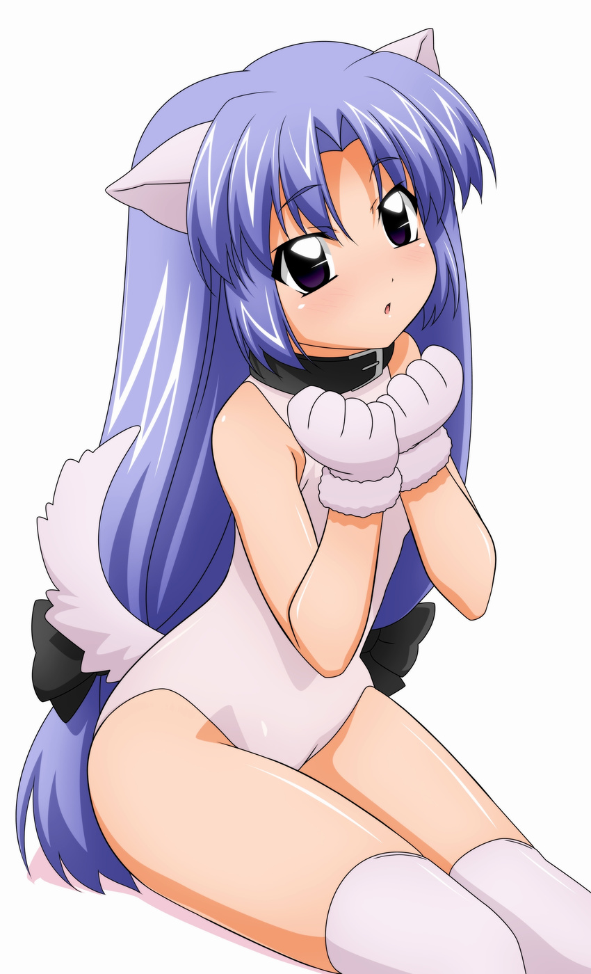 absurdres animal_ears blue_hair character_request collar dog_ears dog_tail gloves highres leotard lost_universe non-web_source solo sugimura_tomokazu tail thighhighs