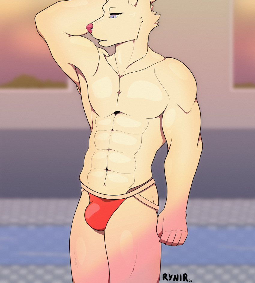 abs absurd_res anthro biceps big_arms bulge canid canine canis clothing domestic_dog hi_res jockstrap male mammal muscular muscular_anthro muscular_male pecs pool_(disambiguation) rynir signature solo swimming_pool underwear window