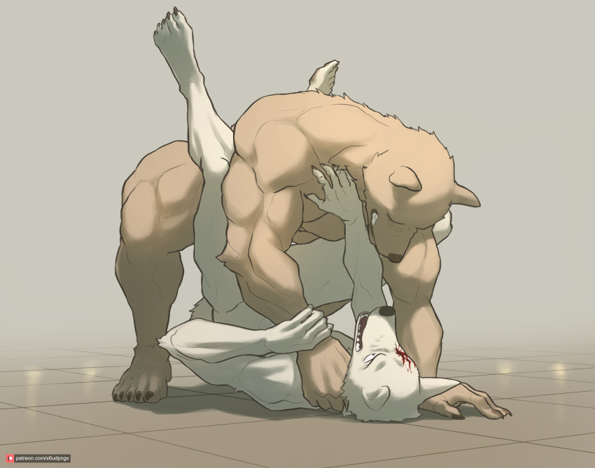 anal angry anthro anthro_on_anthro anthro_penetrated anthro_penetrating anthro_penetrating_anthro asphyxiation beastars blood bodily_fluids brown_body brown_fur canid canine canis choking duo forced from_front_position fur hi_res legoshi_(beastars) legs_up male male/male male_penetrated male_penetrating male_penetrating_male mammal muscular nude penetration penile penile_penetration piledriver_position pngx_(artist) raised_hips rape riz_(beastars) sex simple_background ursid white_body white_fur wolf
