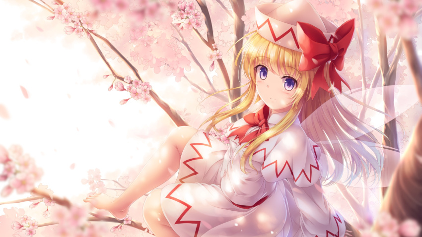 1girl bangs barefoot blonde_hair bow bowtie capelet cherry_blossoms commentary_request fairy_wings hat highres in_tree lily_white long_hair long_sleeves looking_at_viewer lzh purple_eyes sidelocks sitting smile solo touhou tree wings