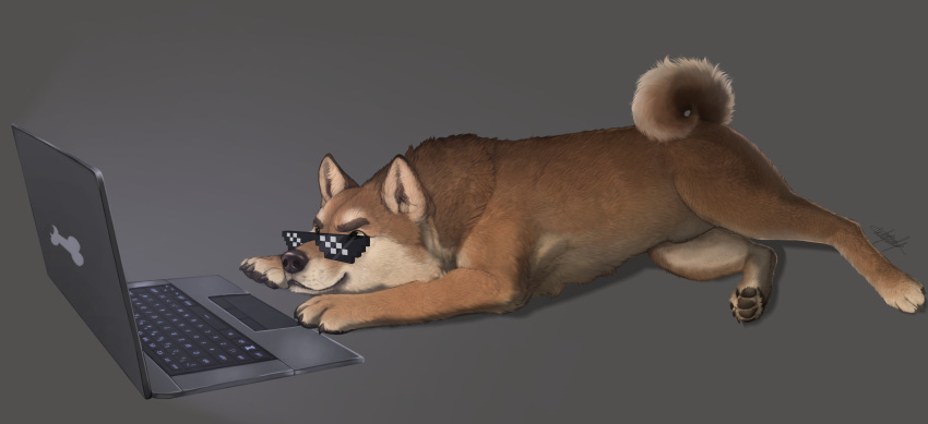 absurd_res ambiguous_gender black_nose canid canine canis computer curled_tail domestic_dog eyewear feral fur hi_res laptop mammal meme_glasses multicolored_body multicolored_fur paganpaw rags_(youtuber) shiba_inu solo spitz two_tone_body two_tone_fur youtuber