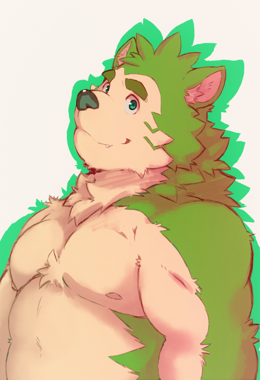 2021 absurd_res anthro canid canine canis domestic_dog fur green_body green_fur heylaw21 hi_res kemono live-a-hero male mammal mokdai moobs nipples simple_background solo video_games