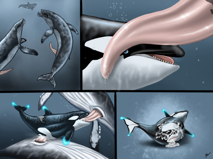 animal_genitalia animal_penis baleen_whale belly black_body blue_eyes bodily_fluids bubble cetacean cetacean_penis comic cum cum_in_mouth cum_in_pussy cum_inflation cum_inside cum_on_stomach delphinoid dorsal_fin fellatio female feral feral_on_feral fin genital_fluids genitals glowing glowing_fin grey_body group humpback_whale inflation kayla_orca lying male male/female mammal marine oceanic_dolphin on_side oral orca penetration penile penis pussy sex size_difference swimming tail_fin tapering_penis toothed_whale underwater underwater_sex vaginal vaginal_penetration water white_belly