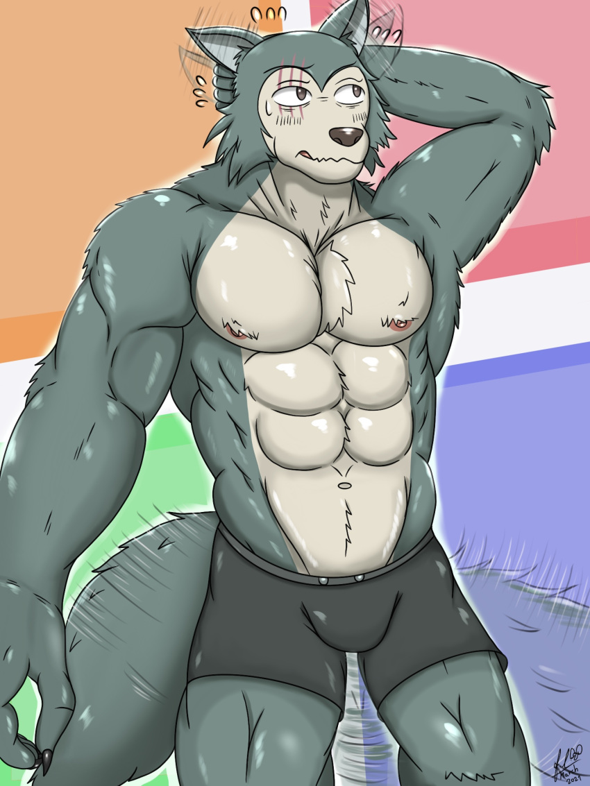 2021 5_fingers abs anthro beastars biceps black_nose blush bodily_fluids boxers_(clothing) canid canine canis chest_tuft claws clothed clothing countershade_face countershade_torso countershading ear_twitch embarrassed eye_scar facial_scar finger_claws fingers friendly25 fur glistening glistening_body glistening_clothing glistening_fur grey_body grey_fur hand_behind_head hi_res humanoid_hands legoshi_(beastars) looking_aside looking_away male mammal muscular muscular_anthro muscular_male navel nervous nipples pecs portrait scar signature solo standing sweat sweatdrop tailwag three-quarter_portrait topless topless_male tuft underwear underwear_only wolf