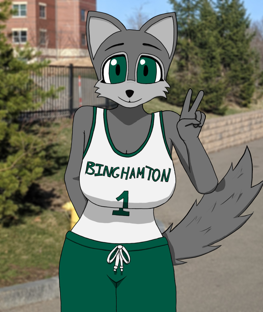 anonymous_artist anthro basketball_shorts baxter_bearcat big_breasts binghamton_university binturong breasts clothed clothing college crossgender female fully_clothed hi_res mammal mascot mtf_crossgender school shirt solo standing tank_top topwear viverrid