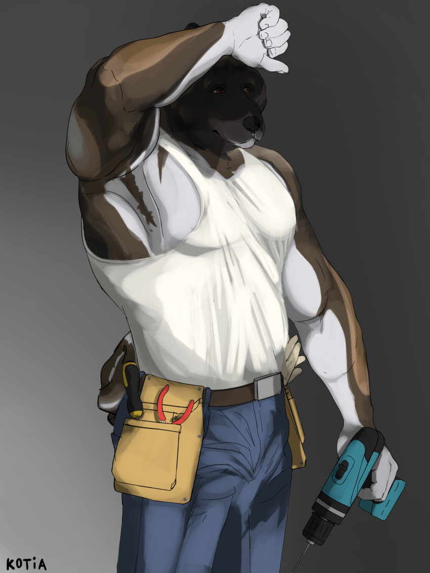 absurd_res akita anthro armpit_fetish armpit_hair biceps body_hair canid canine canis clothed clothing domestic_dog fur hi_res kotia male mammal musclegut muscular muscular_anthro muscular_male power_tool shadow shirt simple_background solo spitz tail_tuft tank_top tools topwear tuft wiping_forehead