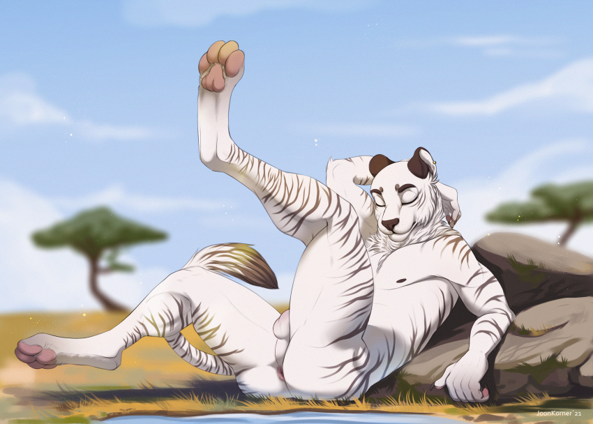 absurd_res anthro anus balls blurred_background eyes_closed felid feline fur genitals hi_res joonkorner leaning leaning_back legs_up male mammal outside pantherine pawpads paws safari savanna solo striped_body striped_fur stripes tiger white_body white_fur