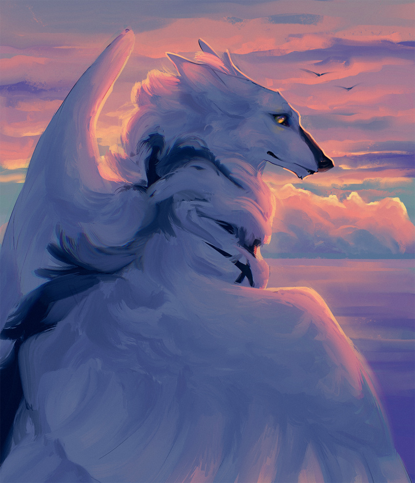2021 amber_eyes ambiguous_gender canid canine day detailed_background digital_media_(artwork) feathered_wings feathers feral fur hi_res hybrid mammal outside sky solo volinfer white_body white_feathers white_fur wings