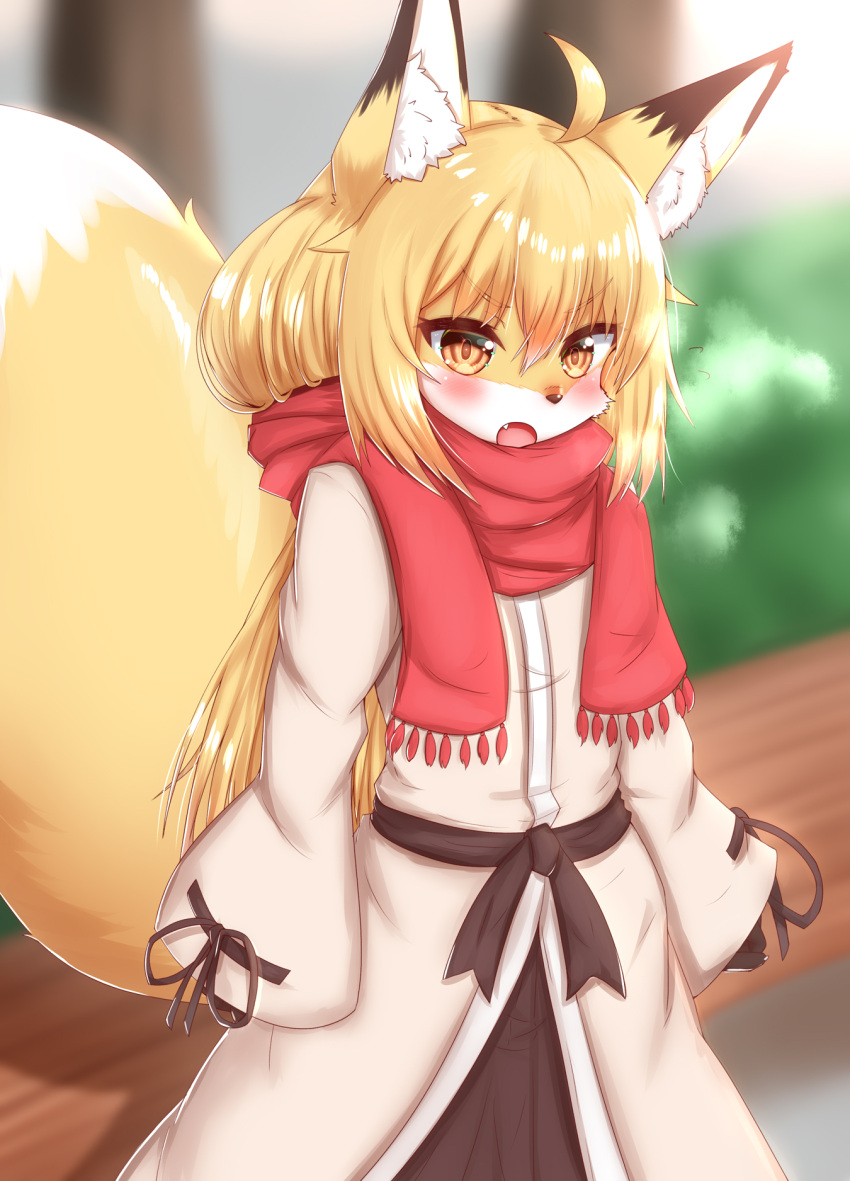 2021 ahoge anthro bench blonde_hair blurred_background blush brown_body brown_fur brown_nose canid canine cheek_tuft claws clothing coat cute_fangs day dipstick_ears dipstick_tail eyebrow_through_hair eyebrows facial_tuft female finger_claws fingers fluffy fluffy_tail fox fur glistening glistening_hair hair hi_res horokusa0519 inner_ear_fluff kemono korai_(horokusa) long_hair long_sleeves looking_at_viewer mammal multicolored_ears multicolored_tail open_mouth outside portrait pupils scarf slit_pupils solo standing three-quarter_portrait tongue topwear translucent translucent_hair tuft white_body white_fur yellow_body yellow_eyes yellow_fur