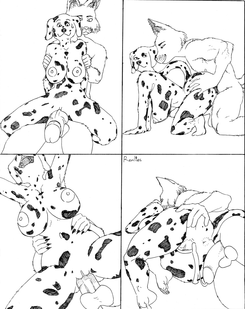absurd_res all_fours anthro anus areola arm_grab big_breasts big_butt big_penis biped black_and_white bodily_fluids breasts butt butt_grab canid canine canis clitoris comic cum cum_drip cum_in_pussy cum_inside dalmatian doggystyle domestic_dog dripping duo erection female female_penetrated from_behind_position genital_fluids genitals hand_on_butt hanging_breasts hi_res holding_waist huge_breasts huge_penis low-angle_view male male/female male_penetrating male_penetrating_female mammal monochrome nervous nervous_smile nipples on_lap penetration penis pussy realius sex sitting_on_lap spread_butt spread_pussy spreading sweat sweatdrop traditional_media_(artwork) worm's-eye_view