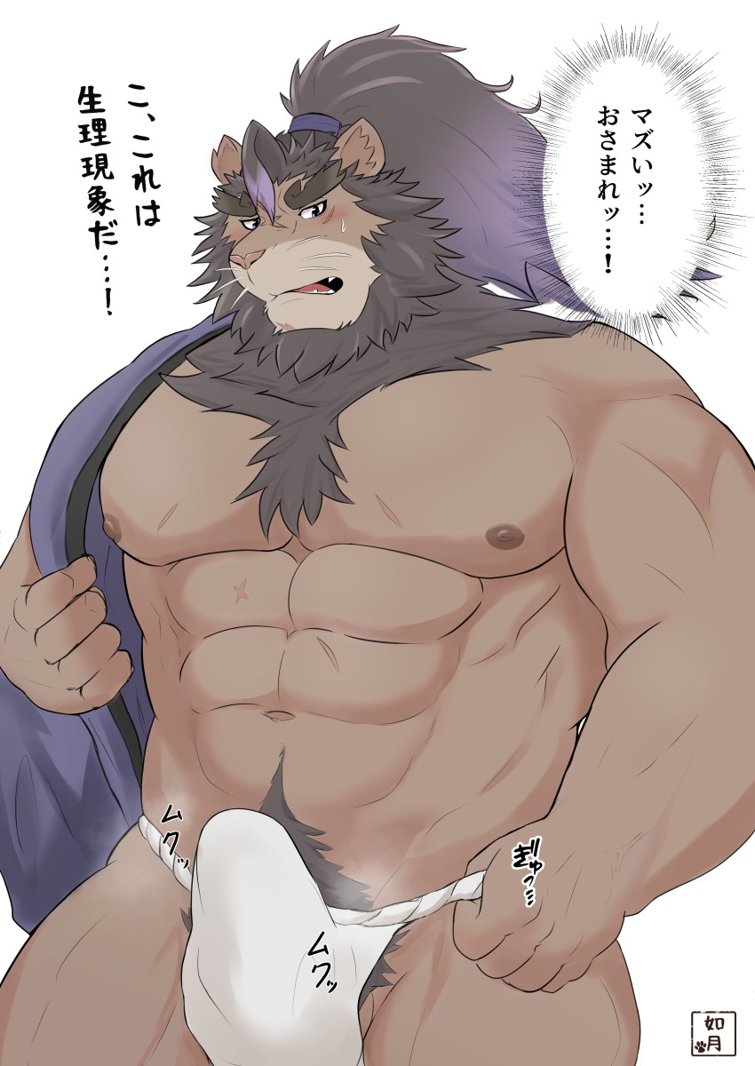 abs absurd_res anthro asian_clothing blush brown_body brown_fur brown_mane clothed clothing east_asian_clothing erection erection_under_clothing felid fundoshi fur genitals hair hi_res japanese_clothing japanese_text kisaragi_syoo lion live-a-hero male mammal mane muscular muscular_anthro muscular_male nipples pantherine pecs penis ponytail pubes text toshu underwear