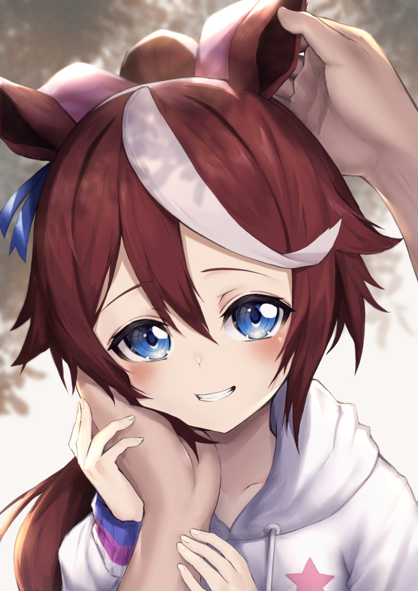 1girl absurdres animal_ears bangs blue_eyes blush brown_hair buttons collarbone commentary_request double-breasted ear_ribbon eyebrows_visible_through_hair grin hair_between_eyes hair_flaps hand_on_another's_cheek hand_on_another's_face high_ponytail highres hinamayo hood hood_down hoodie horse_ears horse_girl huge_filesize long_hair looking_at_viewer multicolored_hair petting pov pov_hands shade sidelocks smile solo_focus standing star_(symbol) star_print streaked_hair teeth tokai_teio_(umamusume) two-tone_hair umamusume upper_body white_hair white_hoodie younger