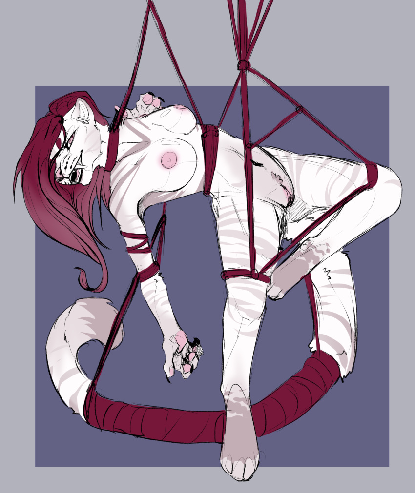 anthro bdsm bondage bound breasts daxxorous fangs felid female fur hair hi_res long_tail machairodontine mammal model_sheet namrah_svargeey pubes red_hair rope solo suspension_bondage white_body white_fur