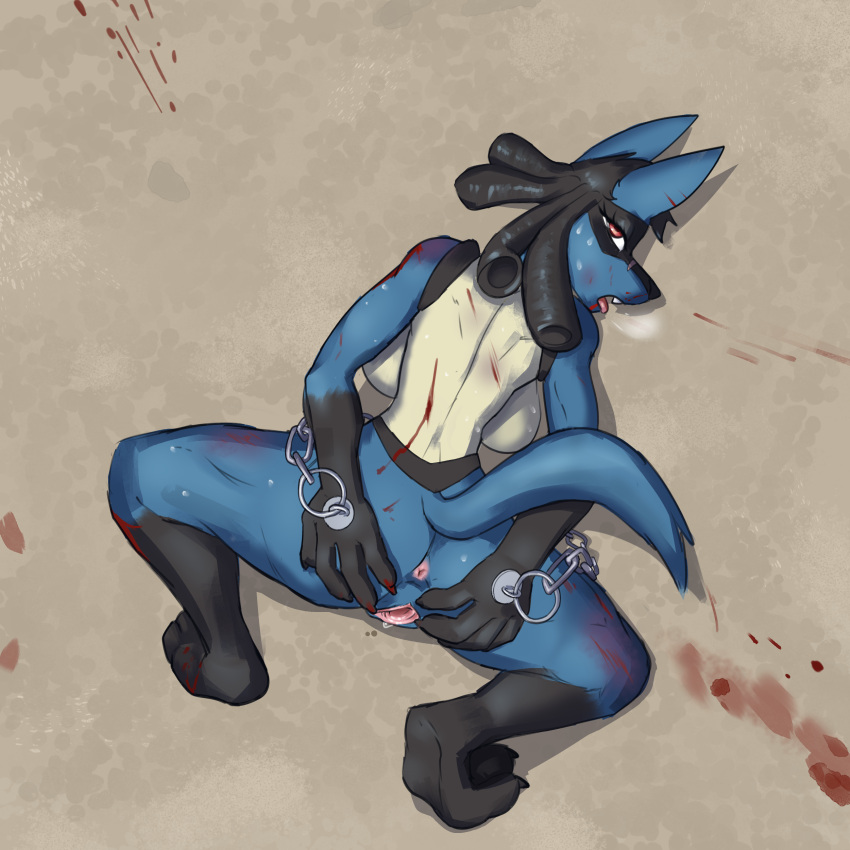 absurd_res anthro big_breasts blood bodily_fluids breast_squish breasts breath bruised chain curvy_figure defeated female fur gaping gaping_pussy genital_fluids genitals hi_res hourglass_figure looking_at_viewer looking_back lucario menis multicolored_body multicolored_fur nameless_lucario nintendo nosebleed panting pink_pussy pok&eacute;mon pok&eacute;mon_(species) pussy pussy_juice red_eyes scar sex_slave slave solo spread_pussy spreading squish submissive submissive_female submitting sweat video_games