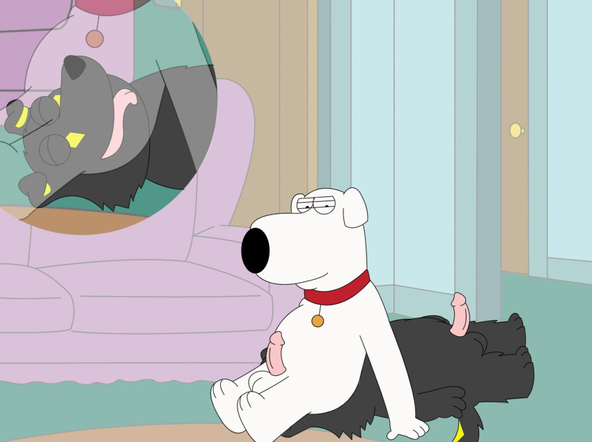 anal anthro balls brian_griffin canid canine canis collar cutaway darkbunny666 domestic_dog duo facesitting family_guy genitals hi_res humanoid_genitalia humanoid_penis male male/male mammal new_brian oral penis plantigrade rimming sex smile softdiamond