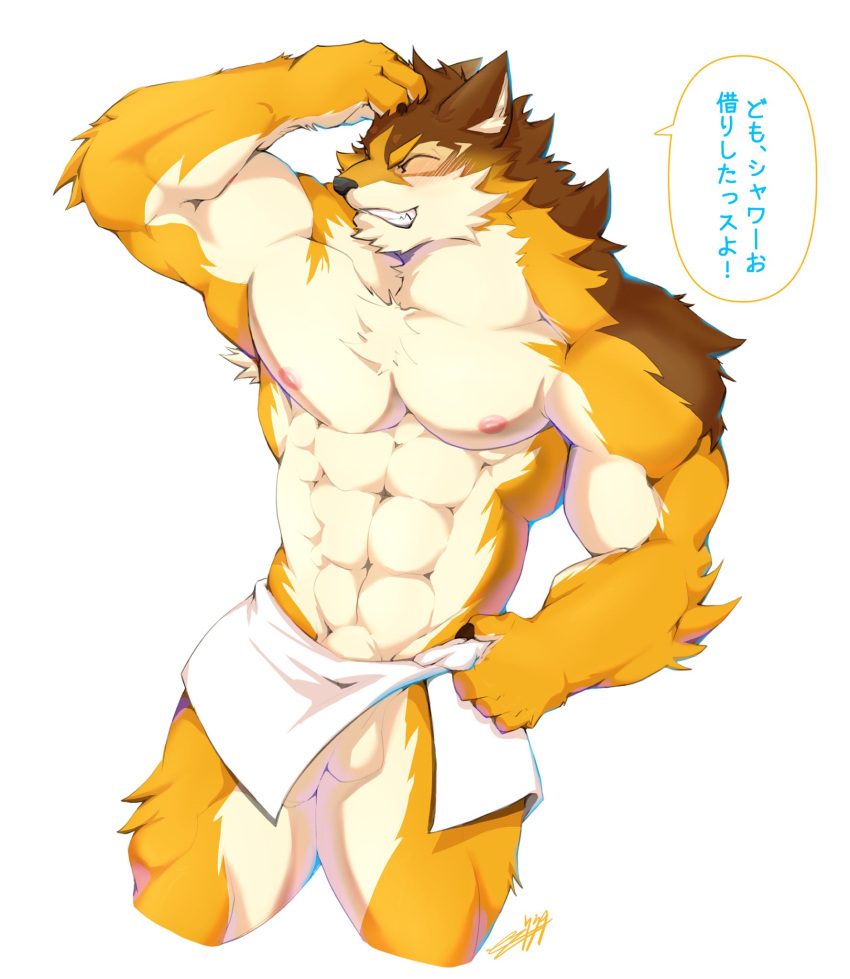 abs anthro balls barrel_(live-a-hero) better_version_at_source canid canine canis flaccid fur genitals hi_res kalonezhno live-a-hero male mammal multicolored_body multicolored_fur muscular muscular_anthro muscular_male pecs penis solo towel wolf