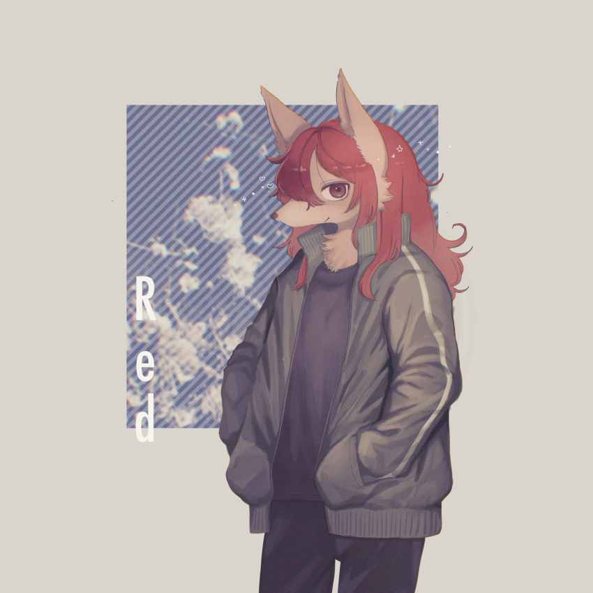 2021 anthro black_clothing black_shirt black_topwear bottomwear canid canine chest_tuft clothed clothing english_text female fox fully_clothed fur grey_body grey_fur hair hi_res jacket kemono long_hair looking_at_viewer mammal nonomai25 pants red_eyes red_hair shirt simple_background snout solo text topwear tuft