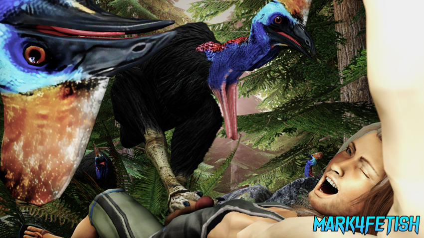 16:9 3d_(artwork) absurd_res ambiguous_gender avian avian_caruncle beak bestiality biped bird black_body black_feathers blue_body bodily_fluids casque_(anatomy) cassowary claws clothed clothing detailed_background dewlap_(anatomy) digital_media_(artwork) erection feathers feet feral foot_fetish foot_play footjob fur genital_fluids genitals group head_crest hi_res human interspecies male mammal mark4fetish multicolored_body pawjob pawpads paws penis portrait ratite sex standing talons toes wattle widescreen