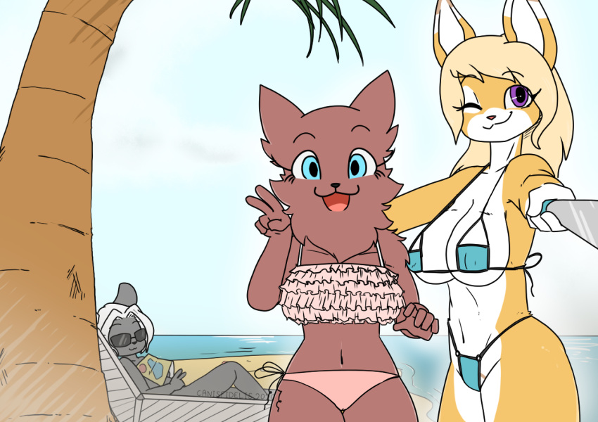 amy_(canisfidelis) anthro beach bikini blue_eyes breasts canid canine canis canisfidelis chest_tuft chinchilla chinchillid clothed clothing eyewear female frilly frilly_clothing frilly_swimwear fur grey_body grey_fur group hair lagomorph leporid looking_at_viewer lying mammal multicolored_body navel one_eye_closed open_mouth outside peace_symbol rabbit rodent seaside selfie_stick smile standing sunglasses swimwear taking_picture tan_body tan_fur tuft two_tone_body white_body white_fur white_hair wink wolf