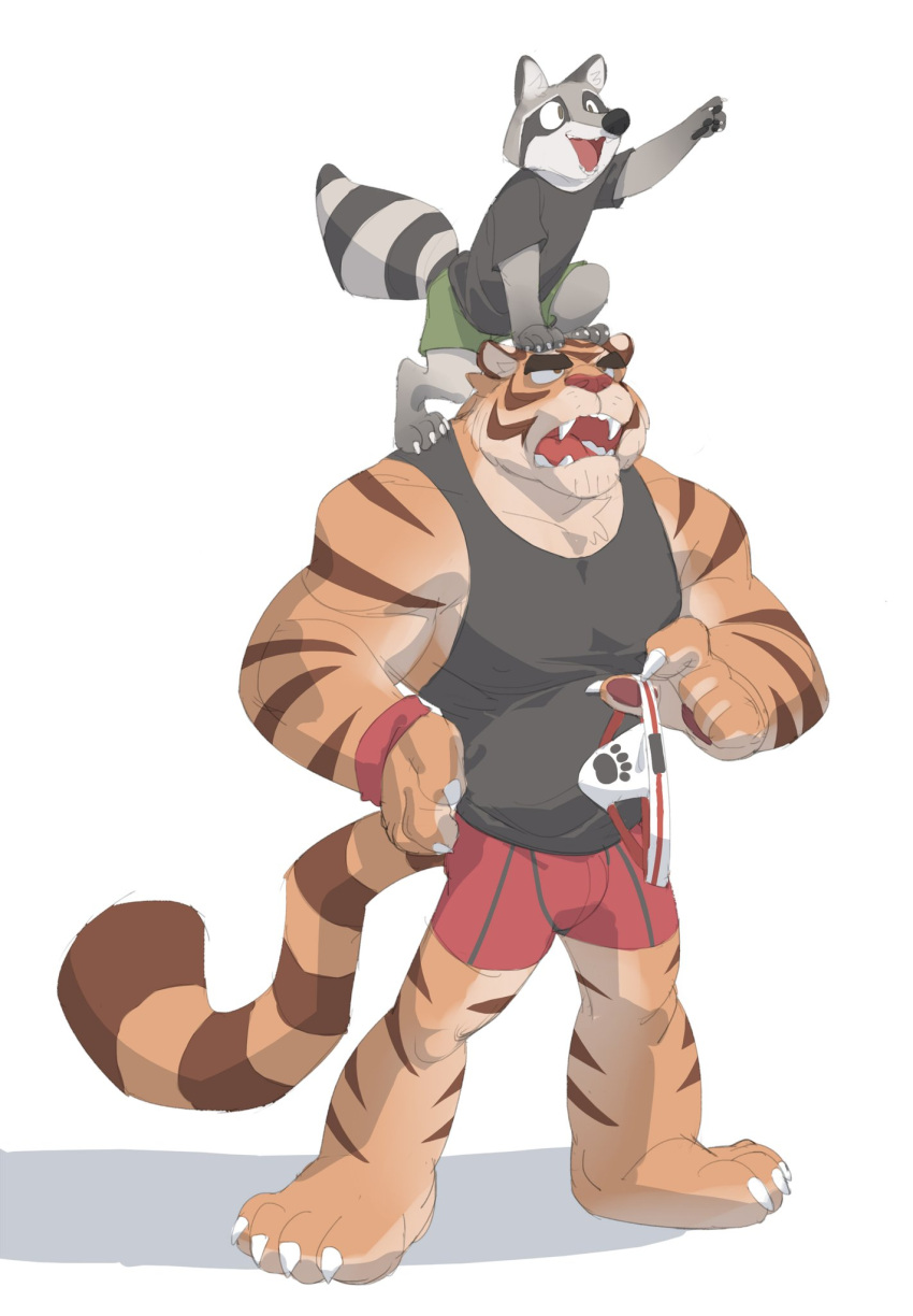 2021 anthro biceps bottomwear clothing felid fur group hi_res male mammal muscular muscular_anthro muscular_male pantherine procyonid raccoon rollingstoneeeeee simple_background size_difference smaller_male stripes tiger topwear wristband