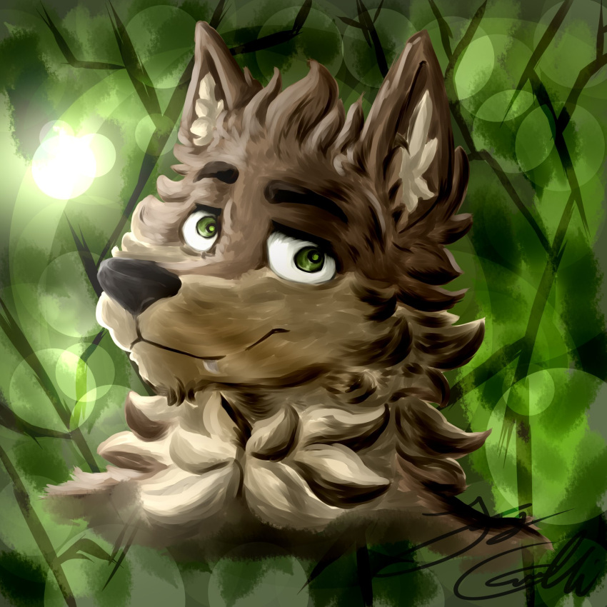 1:1 anthro brown_body brown_fur bust_portrait canid canine canis chest_tuft ear_tuft fangs far_beyond_the_world_(series) fur green_background green_eyes hi_res male mammal multicolored_body multicolored_fur neck_tuft portrait ranok_(far_beyond_the_world) simple_background smile solo tinywolf tuft two_tone_body two_tone_fur video_games visual_novel wolf