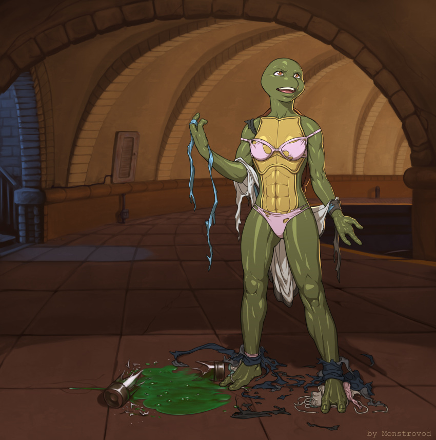 2_toes 3_fingers absurd_res after_transformation anthro bra chemical clothing feet female fingers green_body green_scales hi_res monstrovod mostly_nude mutagen panties reptile scales scalie shell solo species_transformation subway teenage_mutant_ninja_turtles toes torn_clothing transformation turtle underwear venus_de_milo_(tmnt)