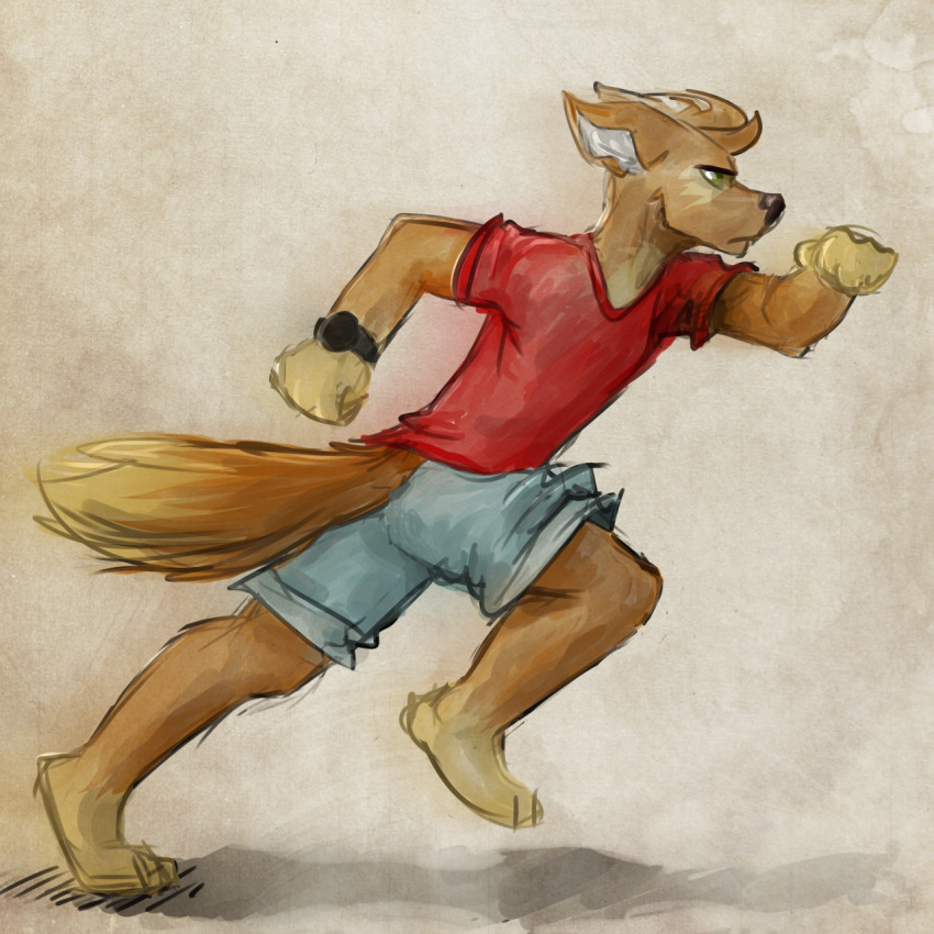 1:1 anthro barefoot black_nose bottomwear brown_body brown_fur canid canine canis clock clothing cutoffs denim denim_clothing domestic_dog feet fur hi_res male mammal matt_riskely painted_background red_clothing red_shirt red_topwear running shadow shirt shorts solo t-shirt tinydeerguy topwear watch