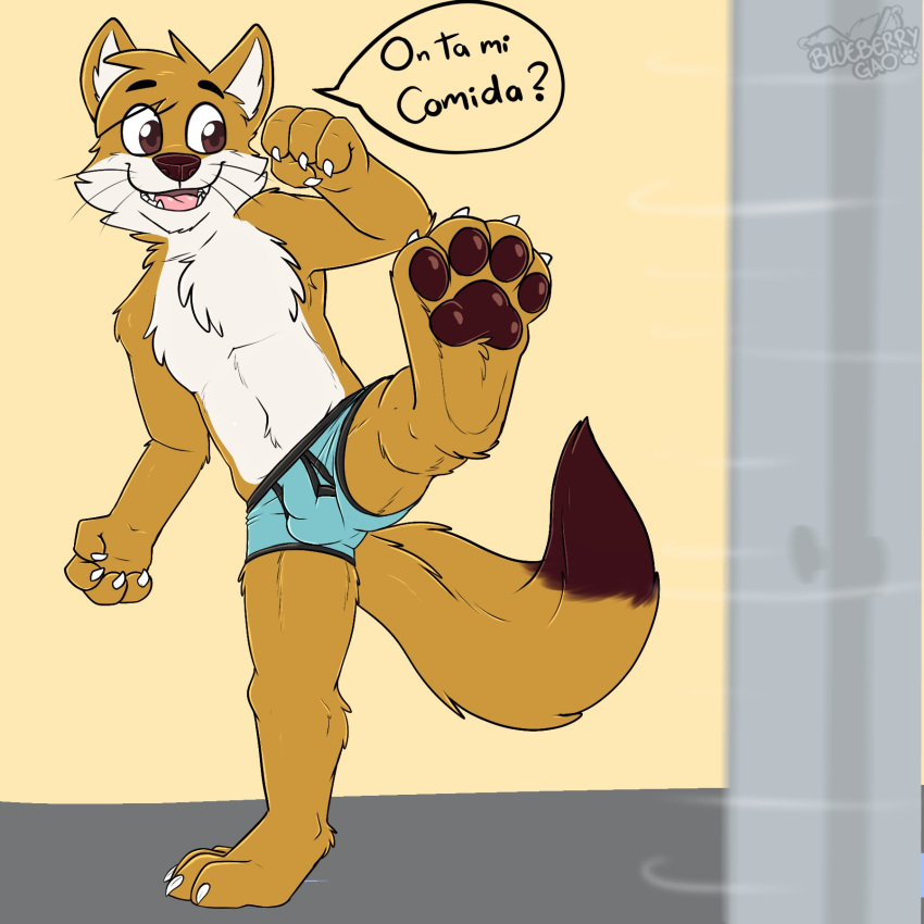 1:1 anthro blonde_hair blue_clothing blue_underwear brown_body brown_eyes brown_fur brown_nose brown_pawpads bulge canid canine cheek_tuft chest_tuft clothed clothing culpeo_fox eyebrows facial_tuft fist fur gaokun grey_background hair hi_res lycalopex male mammal one_leg_up open_mouth partially_clothed pawpads paws raised_leg simple_background solo speech_bubble teeth tongue tuft underwear watermark yellow_background yellow_body yellow_ears yellow_fur