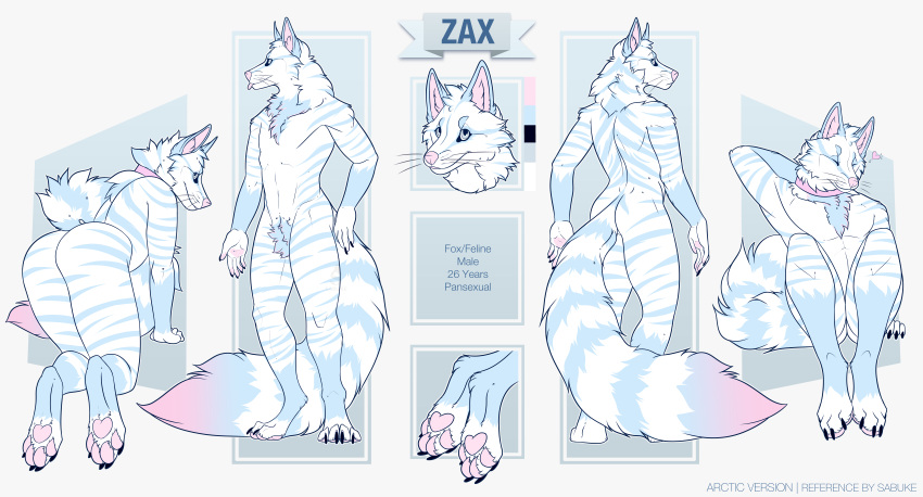 absurd_res anthro arctic canid canine domestic_cat english_text faxby felid feline felis fluffy fox hi_res hybrid male mammal model_sheet paws sabuky solo stripes tabby_cat text thick_thighs zax