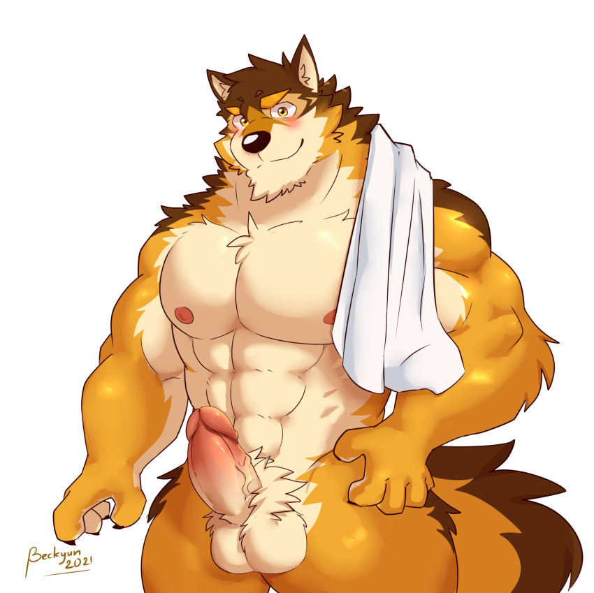 abs anthro balls barrel_(live-a-hero) beckykyun canid canine canis erection fur genitals hi_res live-a-hero male mammal multicolored_body multicolored_fur muscular muscular_anthro muscular_male nipples nude pecs penis solo towel wolf