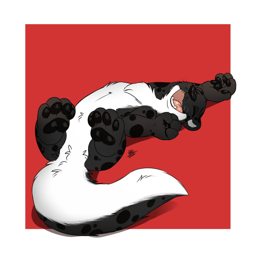 1:1 2021 4_toes absurd_res anthro black_body black_fur border featureless_crotch feet fur hi_res louart lutrine mammal multicolored_body multicolored_fur mustelid nude open_mouth open_smile red_background signature simple_background smile solo stretching toes tongue two_tone_body two_tone_fur white_body white_border white_fur