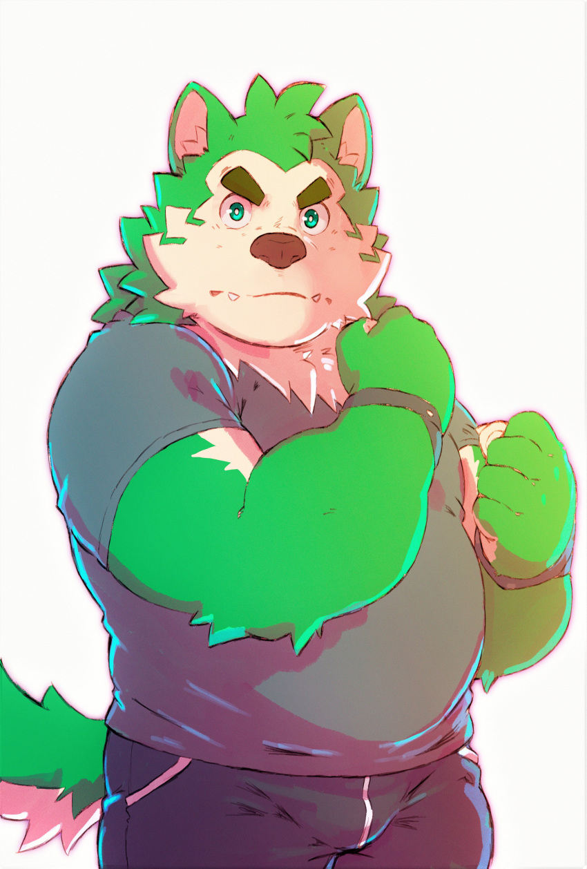 absurd_res angry anthro belly biceps canid canine canis domestic_dog eyebrows fur green_body green_fur heylaw21 hi_res live-a-hero looking_at_viewer male mammal mokdai musclegut solo thick_eyebrows wristband