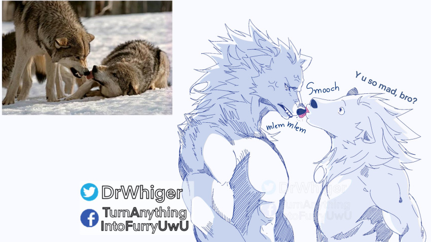 angry blep canid canine canis cross-popping_vein dr.whiger english_text hi_res licking licking_nose male mammal meme moon_moon muscular muscular_male redraw simple_background text tongue tongue_out watermark white_background wolf