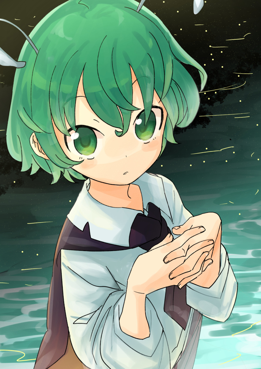 1girl antennae black_cape breasts cape collared_shirt fireflies green_eyes green_hair highres holding_own_arm long_sleeves looking_at_viewer shirt short_hair simple_background sleeves_pushed_up small_breasts solo touhou upper_body usayoshi_(touhopu2) water_surface white_shirt wriggle_nightbug