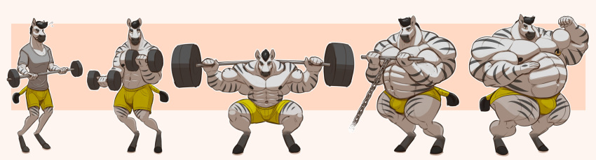 2021 abs absurd_res anthro barazoku barbell bicep_curl biceps big_muscles body_size_growth border bottomwear bulge clothed clothing dumbbell equid equine exercise flexing growth growth_sequence hair hi_res huge_muscles hyper hyper_muscles lizard_soup male mammal muscle_growth muscular muscular_anthro muscular_male navel nipple_piercing nipple_ring nipples obliques pecs piercing pink_background shirt shorts simple_background size_transformation solo squats standing thick_thighs topless topless_male topwear transformation weightlifting weights white_border workout zebra