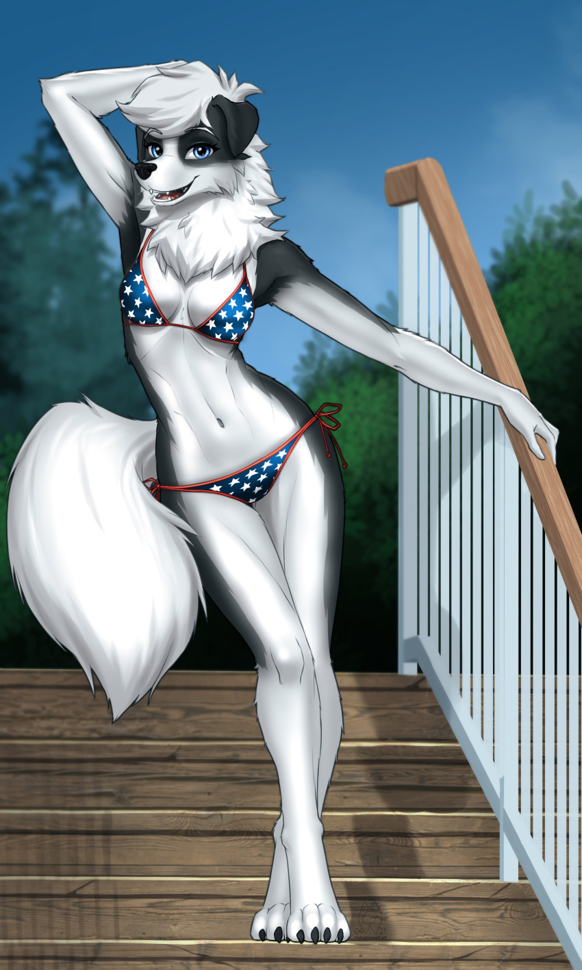 2021 absurd_res anthro bikini blue_eyes border_collie breasts canid canine canis clothed clothing collie day detailed_background digital_media_(artwork) domestic_dog eyebrows eyelashes female hair herding_dog hi_res mammal midriff mykegreywolf navel open_mouth outside pastoral_dog sheepdog sky standing swimwear teeth tongue white_hair