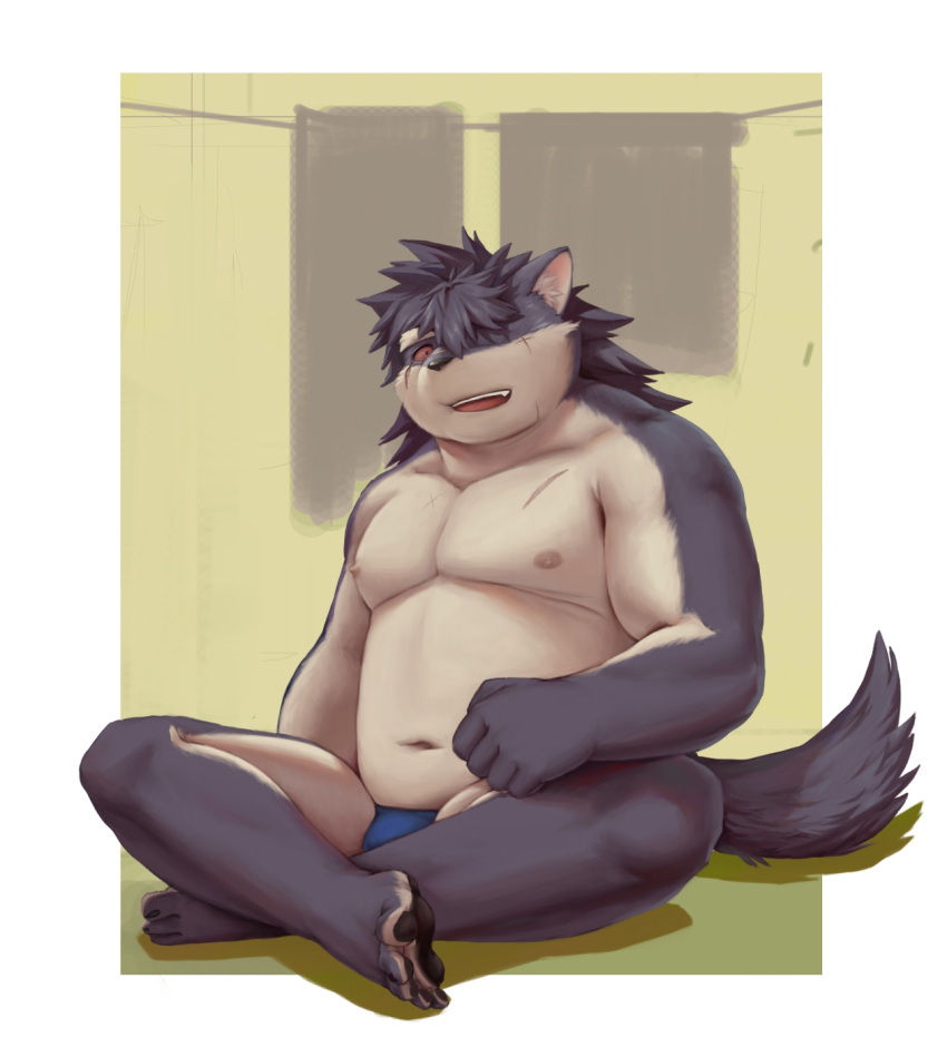 anthro asian_clothing belly canid canine canis chp clothing domestic_dog east_asian_clothing fundoshi fur grey_body grey_fur hair hi_res japanese_clothing long_hair male mammal musclegut navel nipples pecs shino_(housamo) sitting solo tokyo_afterschool_summoners underwear video_games