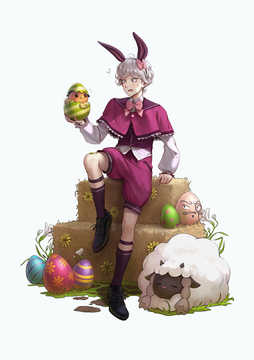 1boy absurdres alternate_costume animal_ears bangs bede_(pokemon) black_footwear buttons capelet commentary_request curly_hair easter egg exeggcute eyelashes fake_animal_ears gen_1_pokemon gen_3_pokemon gen_8_pokemon grass grey_eyes grey_hair hand_up hatching highres holding holding_egg kazuko_(towa) knees leg_up long_sleeves male_focus notice_lines open_mouth pokemon pokemon_(creature) pokemon_(game) pokemon_swsh purple_capelet purple_shorts shoes short_hair shorts sitting socks starter_pokemon straw_(stalk) sweatdrop tongue torchic wooloo