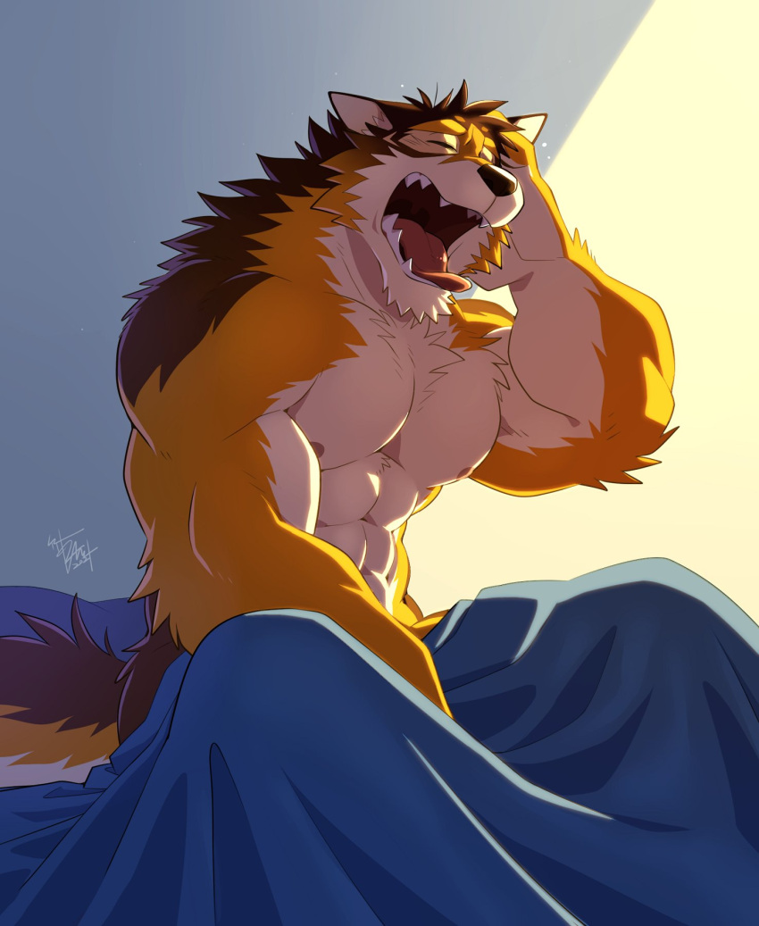 abs anthro barrel_(live-a-hero) bed biceps canid canine canis eyes_closed fur furniture hi_res live-a-hero male mammal muscular muscular_anthro muscular_male nipples open_mouth pecs solo takemoto_arashi teeth tongue wolf yawn