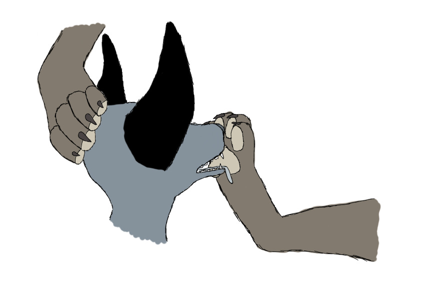 4_toes ambiguous_gender anthro canid canine claws duo feet foot_fetish foot_focus foot_lick foot_play hi_res licking mammal pawpads paws toes tongue tongue_out viescra